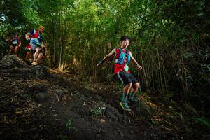 BIB: 
                            <button type="button" onclick="openModal(25102325)" class="btn btn-primary btn-sm float-right btn-popup" data-toggle="modal" data-target=".modal-high-quality">
                        <i class="fas fa-shopping-cart"></i> Add to Cart
                    </button>
                                            <button type="button" onclick="isThisMe(25102325, true)" class="btn btn-success btn-sm float-right btn-popup btn-isme hidden" data-toggle="tooltip" data-placement="bottom" title="นี่คือรูปของคุณใช่ไหม คลิกที่นี่เพื่อเอาเข้าอัลบั้ม">
                        <i class="fas fa-plus"></i> Add to album
                    </button>
                    <button type="button" onclick="isThisMe(25102325, false)" class="btn btn-warning btn-sm float-right btn-popup btn-isnotme hidden">
                        <i class="fas fa-ban"></i> Remove from album
                    </button>